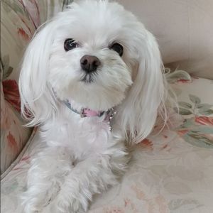 Meet your Posher, Vintagegirlny
